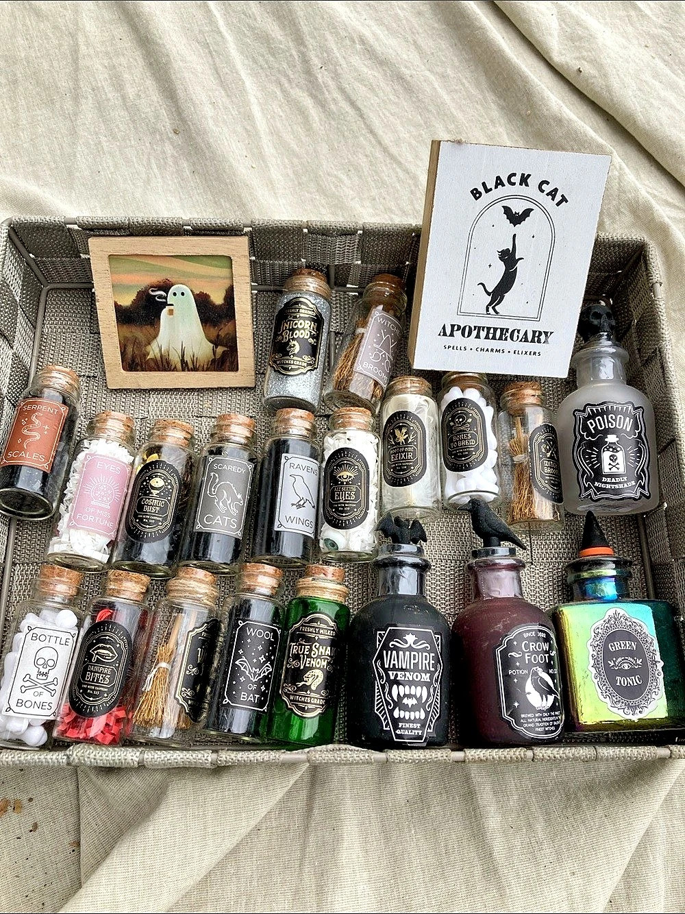 Black Cat Halloween Apothecary witch Collection Decor Set